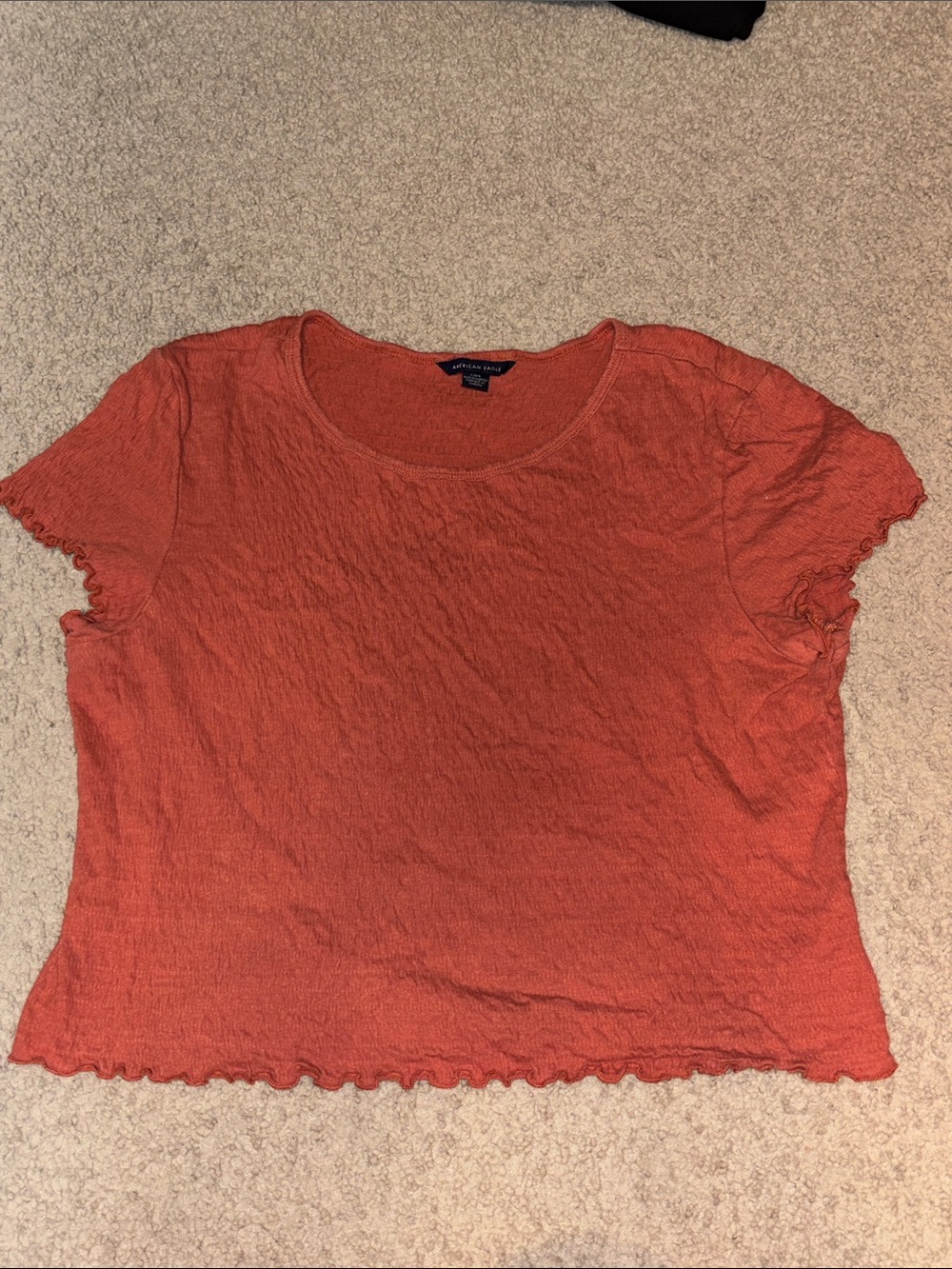 American Eagle Outfitters Rust Orange Textured Short Sleeve Crop Top